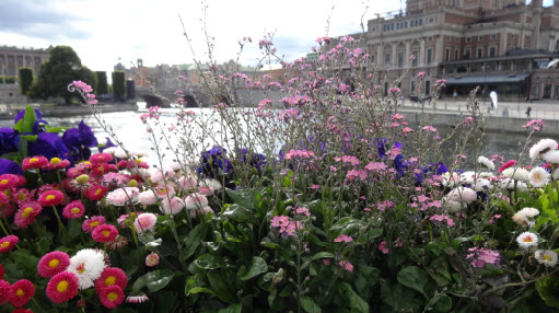 2016-06-16 karma travel blog stockholm 6